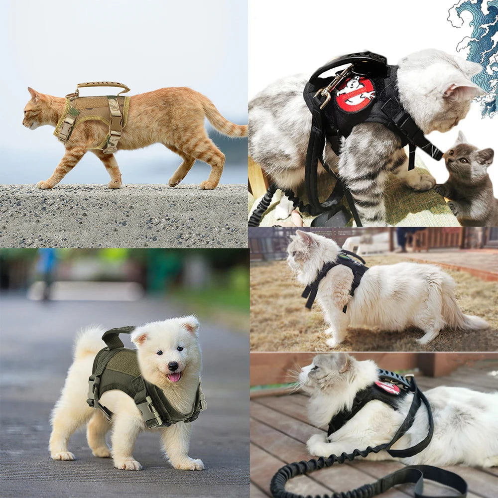 Tactical Cat Harness & Leash – Adjustable Vest for Cats, Kittens & Small Dogs