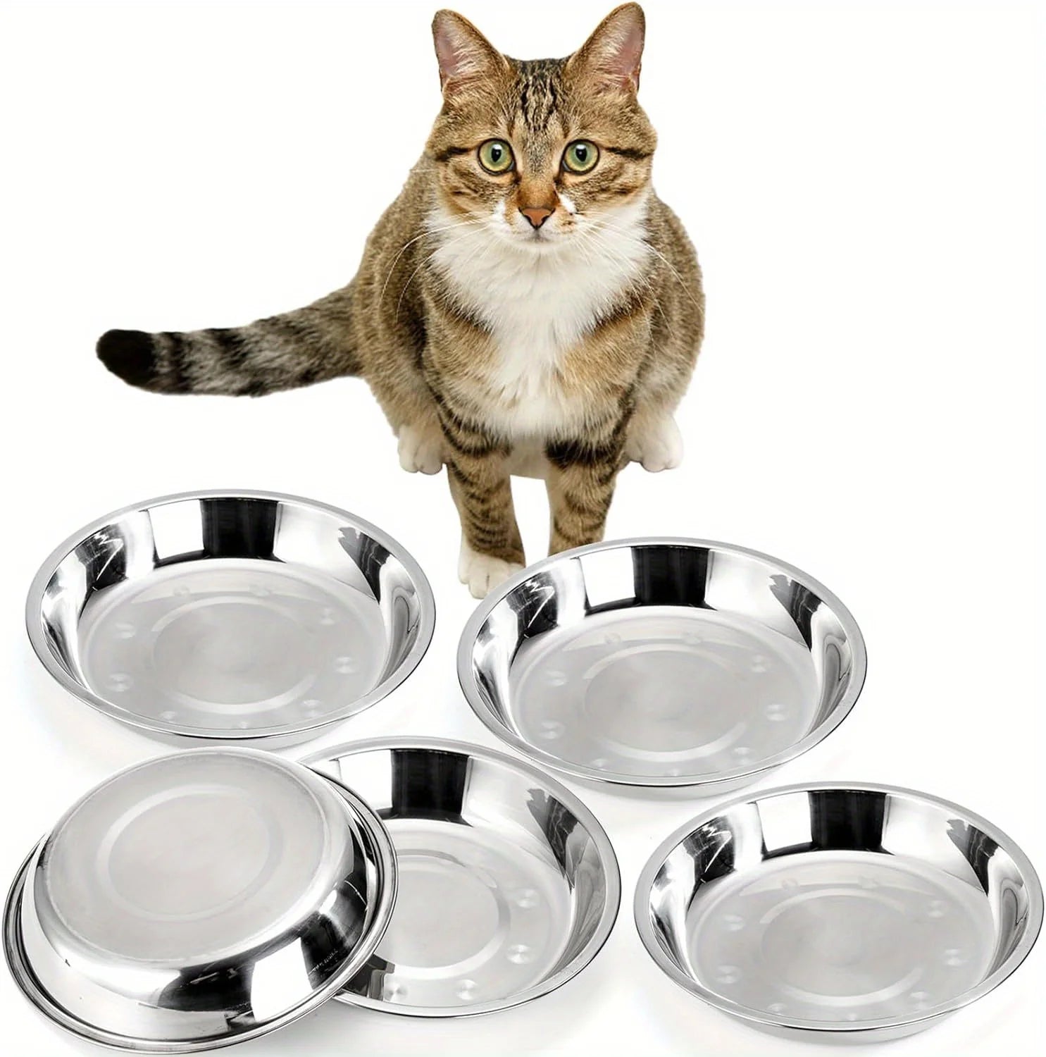 Slip-Resistant Stainless Steel Cat Bowl Set – Low-Profile Wide Design with Anti-Tip Base for Kittens & Small Pets