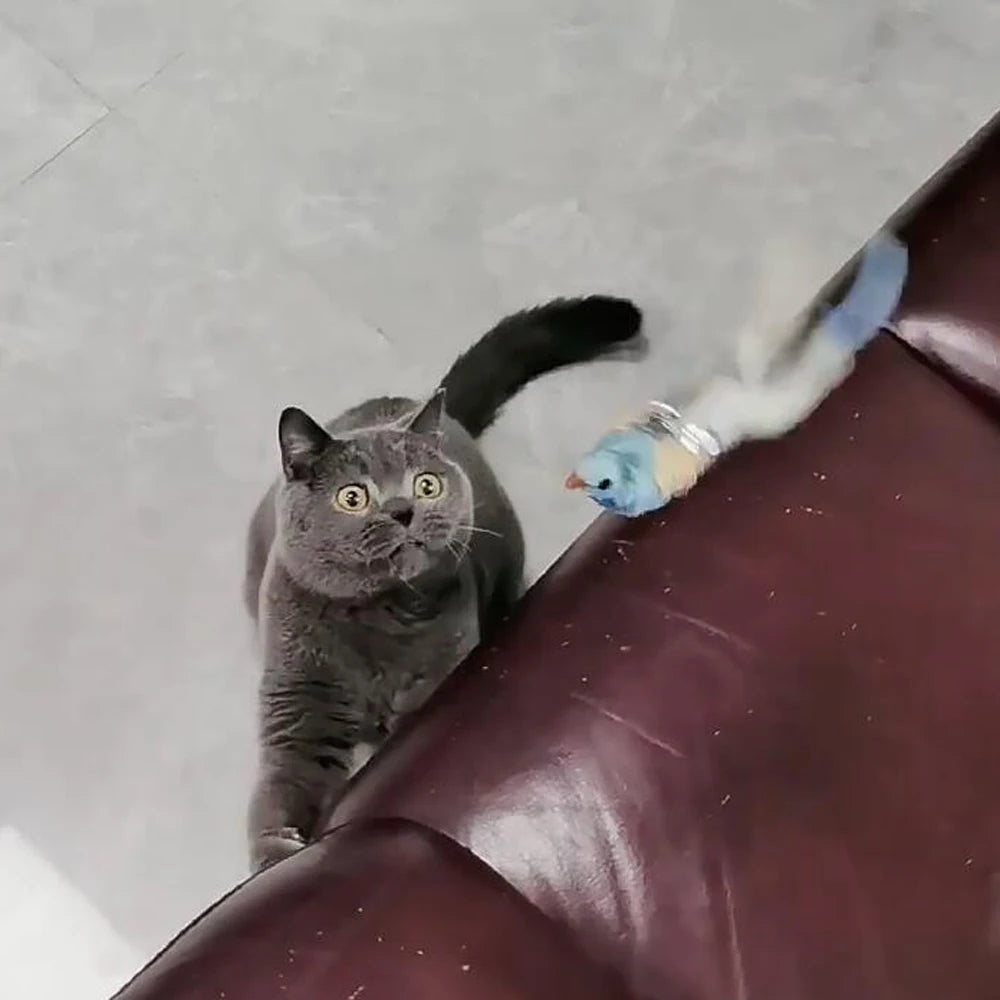 2pcs Replacement Feather Heads for Cat Teaser Stick Toy – Bird Pet Toy