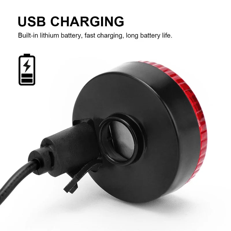 USB Rechargeable LED Pet Collar Pendant – Safety Light for Dogs & Cats, Night Walking Accessory