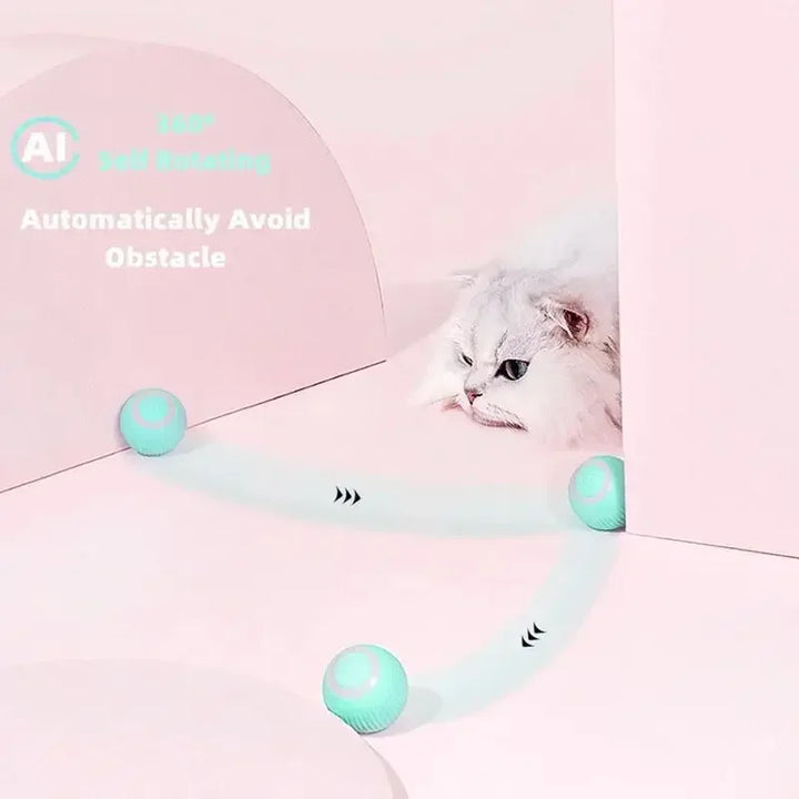 Smart Rolling Cat Ball – Rechargeable Interactive Motion Toy for Indoor Cats