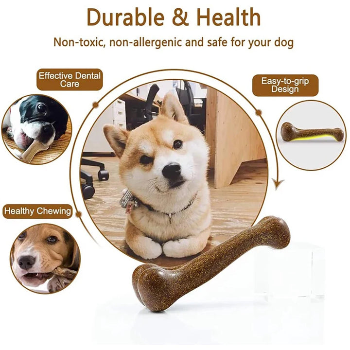 Indestructible Dog Chew Toy for Aggressive Chewers 🐶💪