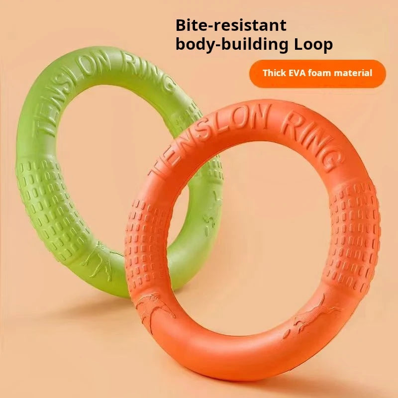 TPR Flying Disk Dog Toy – Anti-Bite Training Ring & Floating Puller 🥏🐶