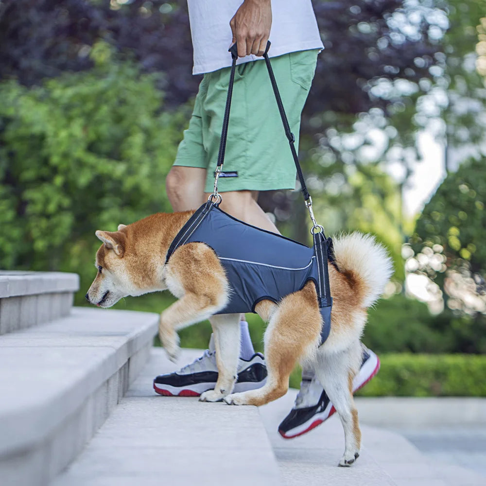 Dog Lift Harness Support Sling – Padded Aid for Disabled & Injured Dogs