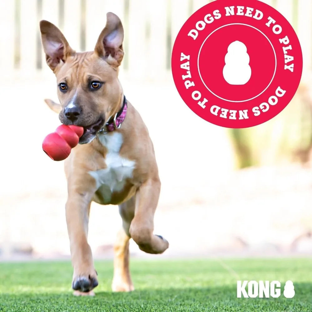 KONG Classic Toy + Ziggies Treats Combo Pack 🦴🐶