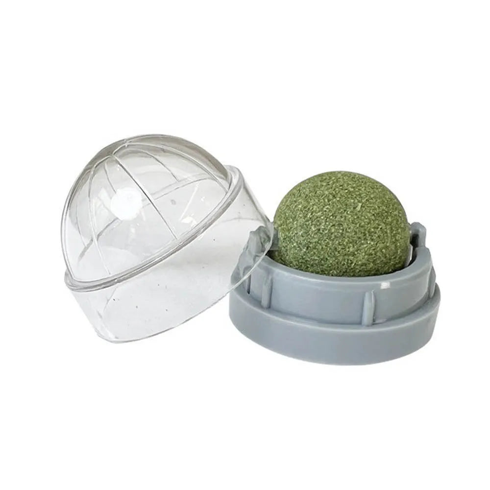 Catnip Wall Stick-On Ball Toy – Natural Cat Grass Treat for Digestion & Fun