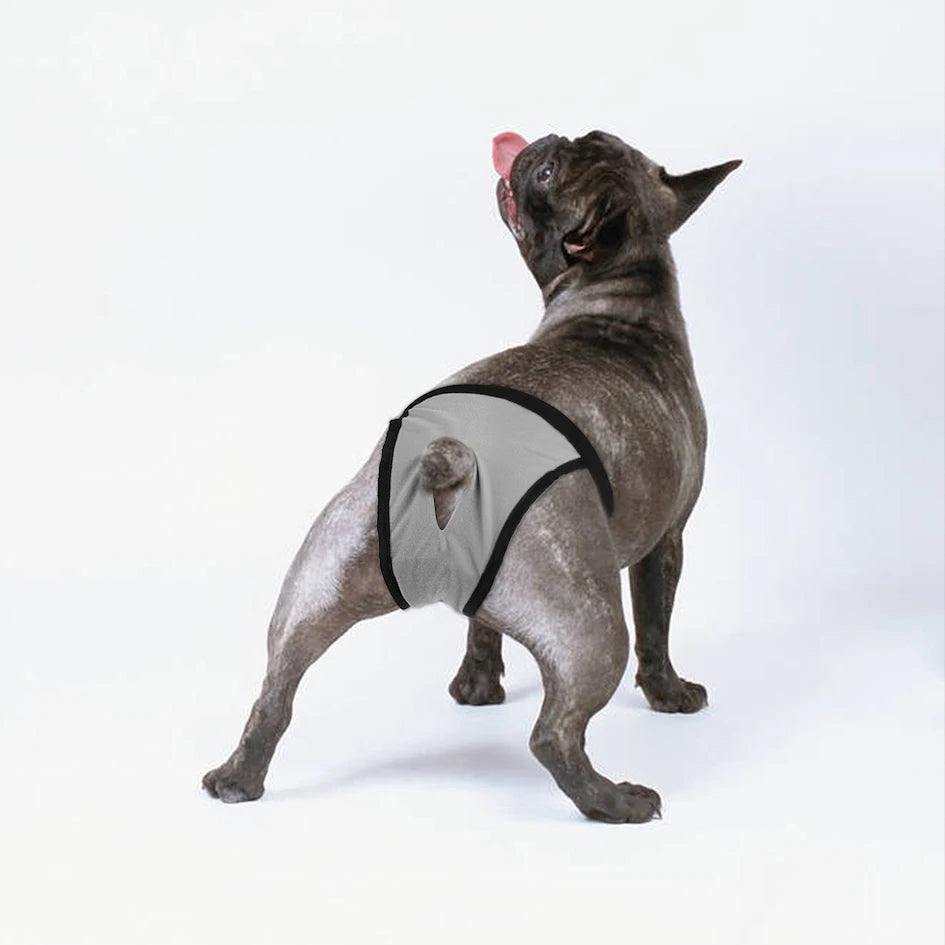 Female Dog Washable Diaper Pants – Anti-Harass Heat Nappies with 8 Pads