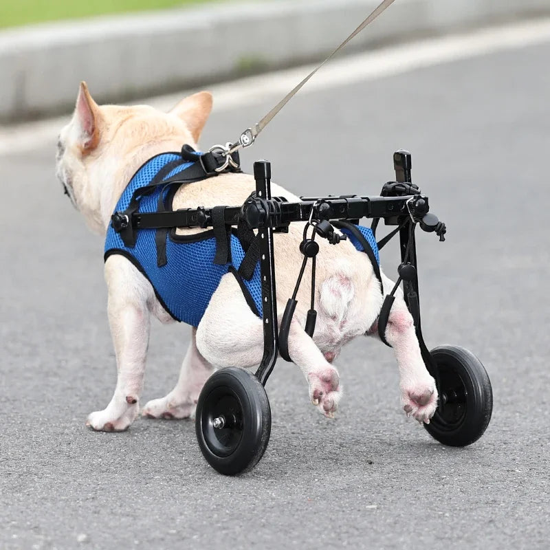 Adjustable Pet Wheelchair Cart – Mobility Aid with Wheels for Disabled Dogs and Cats